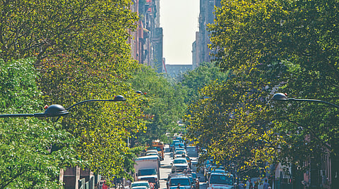 Urban Forest : पर्यावरण संवर्धनासाठी आता ‌‘अर्बन फॉरेस्ट‌’