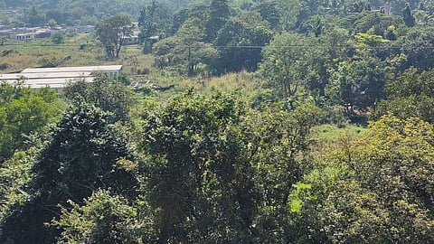 KDMC land misuse