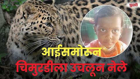 Leopard Attack Khare Karjune: खारे कर्जुने येथे बिबट्याचा हल्ला