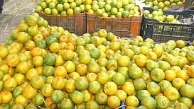 Orange prices rise