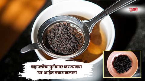 Tea leaves reuse