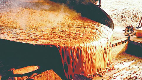 Government-Aims-To-Regulate-Jaggery-Industry-To-Curb-Adulteration-And-Ensure-Standards