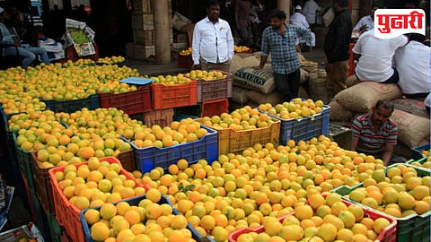 मोसंबीचा आंबेबहार बहरला; पुणे बाजारात आवक वाढली