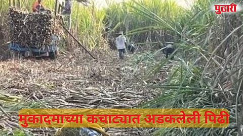 Maharashtra sugar industry workers issues