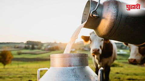 Kolhapur Dairy Farmers