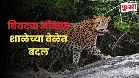 Leopard Attack Students