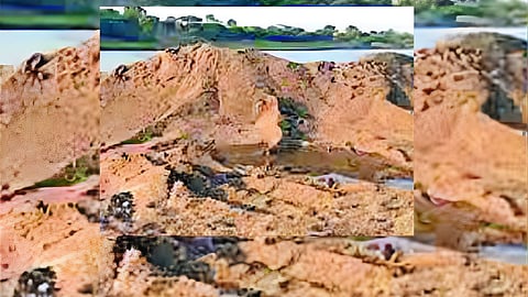 Sand Mafia