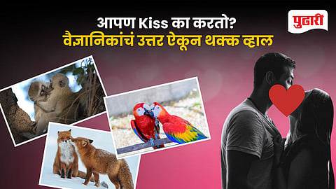 Evolution of Kissing