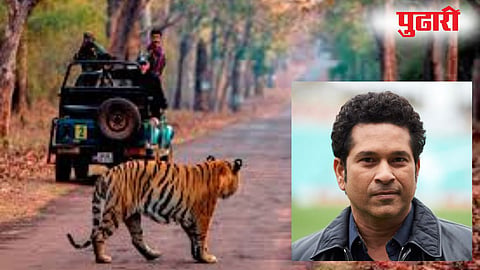 Sachin Tendulkar Tadoba Visit: ताडोबात सचिन तेंडुलकरचा दोन दिवसांचा मुक्काम