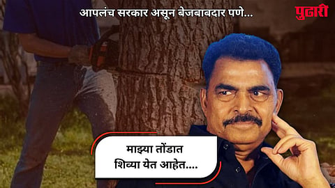 Sayaji Shinde