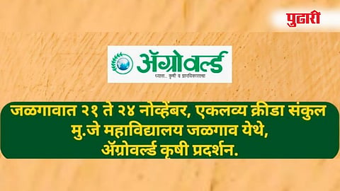 जळगाव 