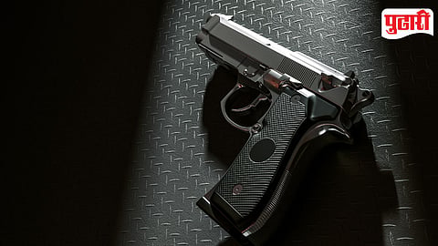 Gun
