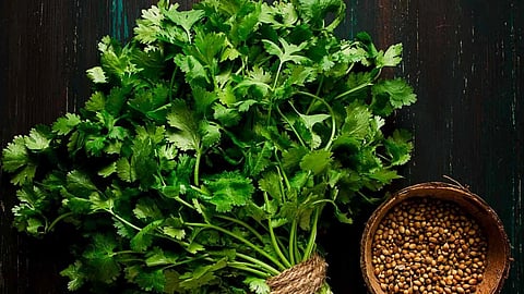 Coriander Rate Hikes