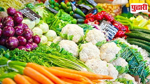 Vegetable