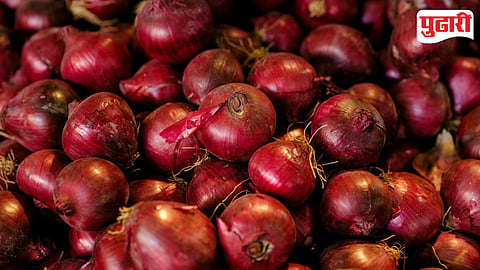 Onion Price