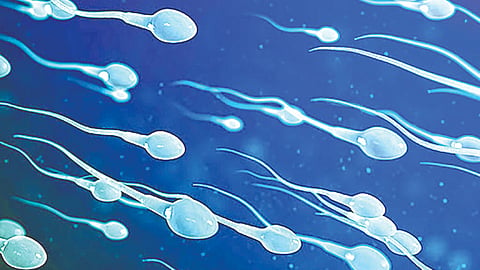 Sperm Count Decline: ‘या‌’ कीटकनाशकामुळे शुक्राणूंची घटतेय संख्या
