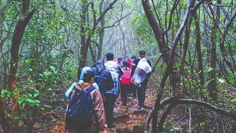 Raigad Andharban Wildlife