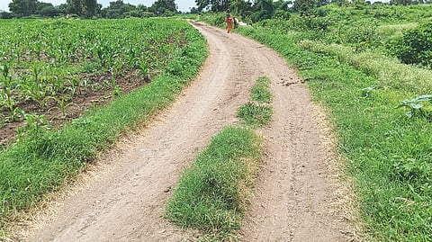 Matoshree Gramsamruddhi road Yojana 