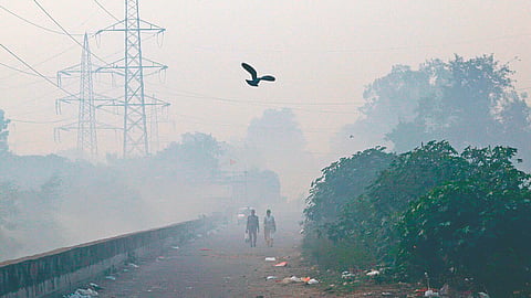 Delhi Pollution