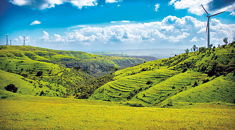 Chandoli Tourism