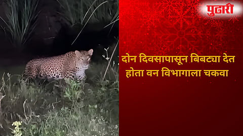 Leopard spotted in Pargaon