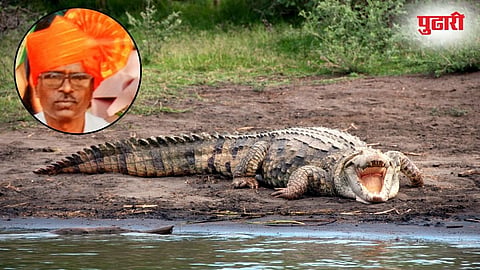 Crocodile Attack