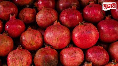Pune Fruit Market Price