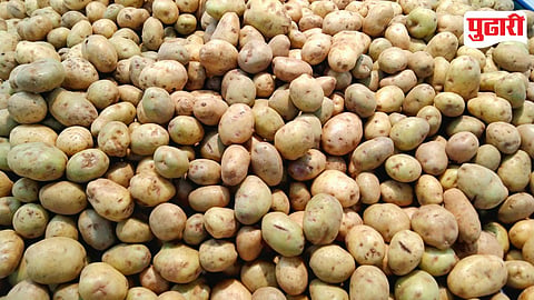 Pune Market Yard Vegetable Price