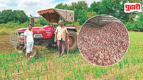 Nagar Onion Crop Decline