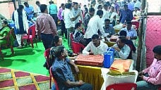Municipal council elections