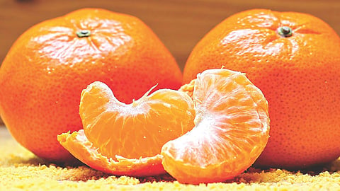 Oranges Superfood Winter 