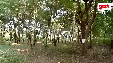 Tapovan