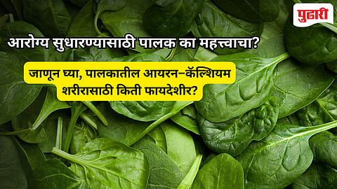 Spinach Benefits