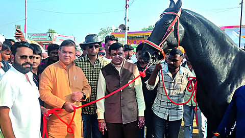 Chetak Festival