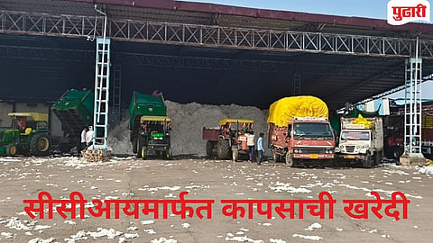 Javalabazar market 17975 quintal cotton  