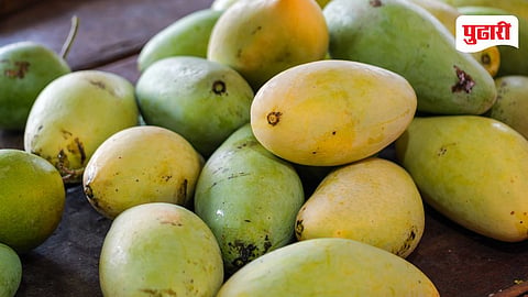 Mango