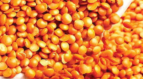 masoor dal 