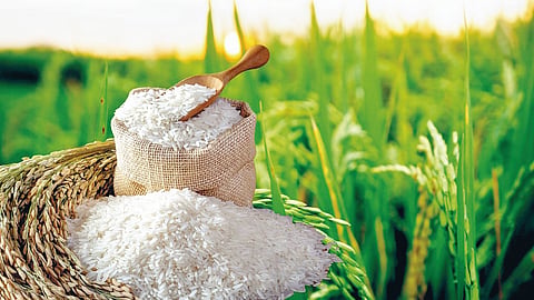 Indrayani Rice
