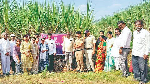 Sangli News