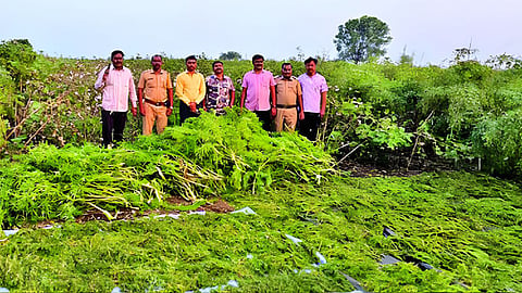 Jalna News