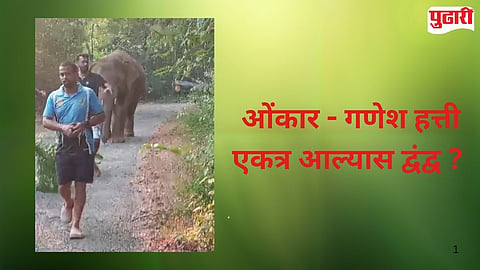Dodamarg Elephant Entry