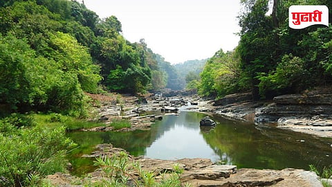 Mhadei river