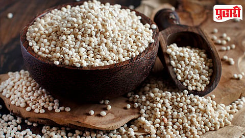 Jowar