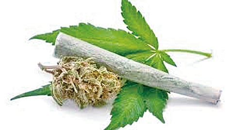 Satara drug hub
