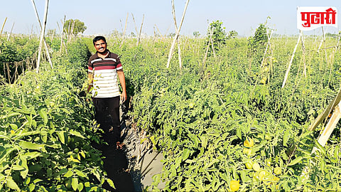 Baramati Farmers