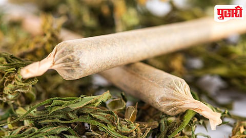 Ganja