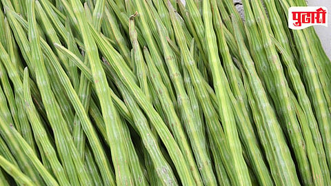 Drumsticks