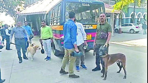 नाशिक
