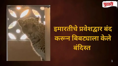 Bhayander leopard attack 