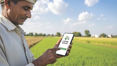 e-crop survey